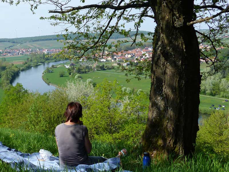 Ausblick