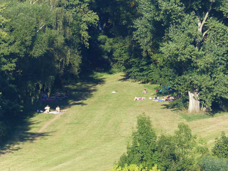 Sonnenwiese