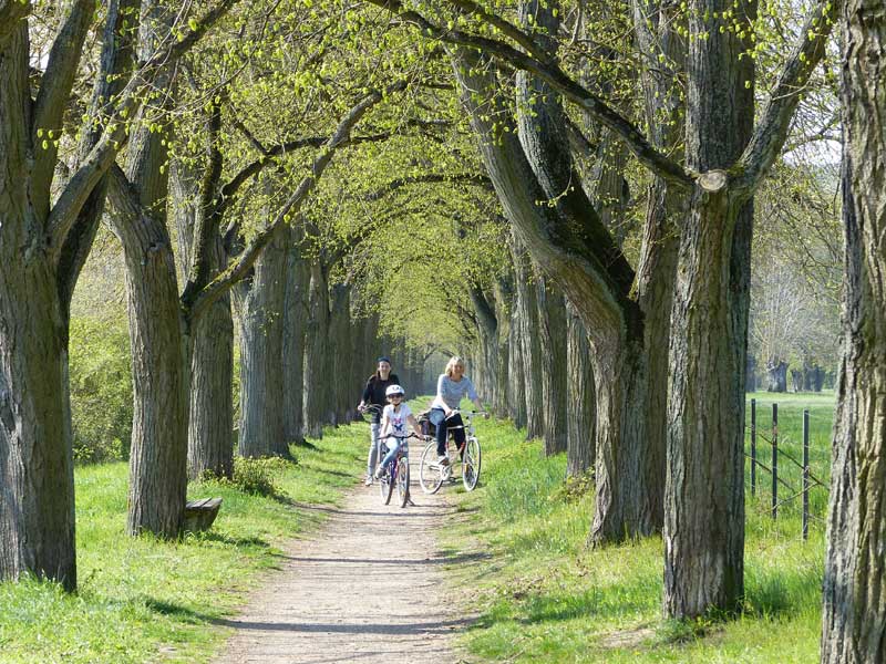 Mainradweg