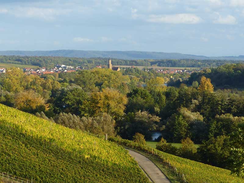 Weinberge vor Volkach