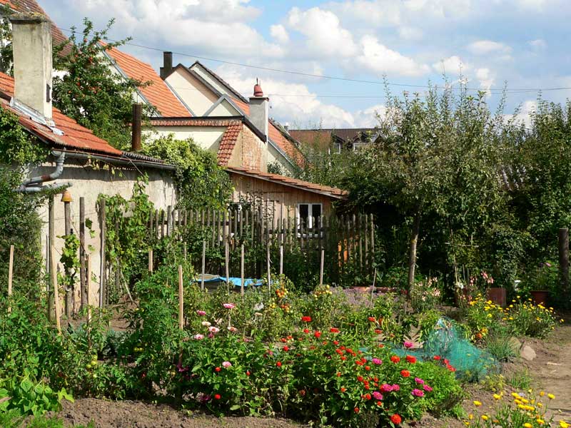allem gewachsen