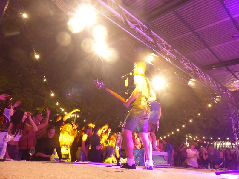 Weinfest Party